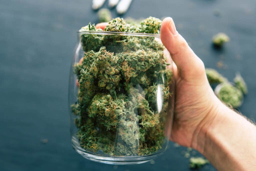 Cones bud of marijuana flowers cannabis in hand of man black background close up