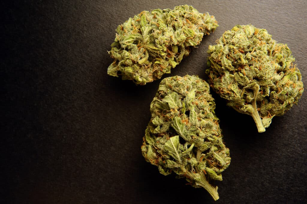 Marijuana buds closeup. Medicinal cannabis on black background. Hemp recreation, medical usage, legalization.