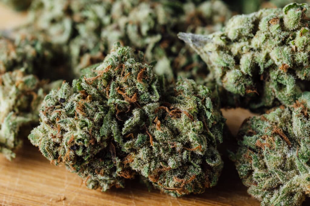 cannabis flower on wooden background