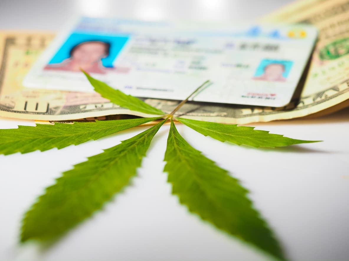 Michigan driver's license and cannabis marijuana