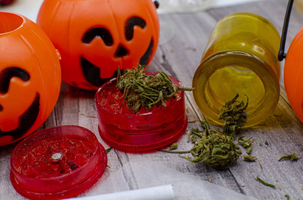 marijuana buds, a grinder, a tobacco cigarette, rolling paper and Halloween decorations.