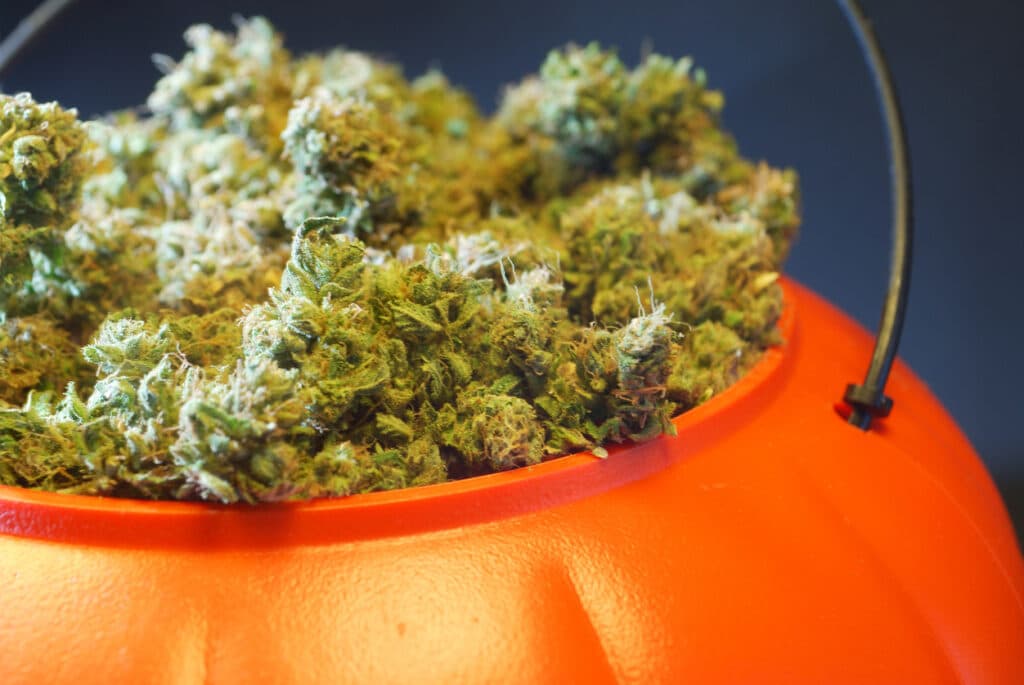 A trick or treat candy bucket filled with marijuana.